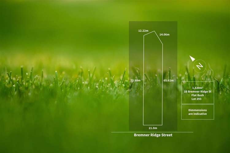 16 Bremner Ridge Street Flat Bush_7