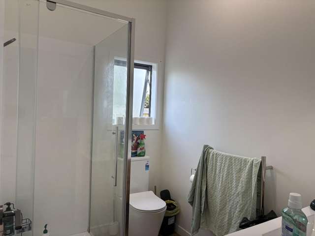 42 Macdonald Street 1052_3