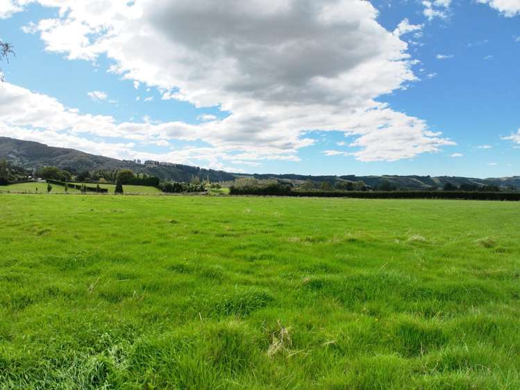 63 Mann Road Woodside_10