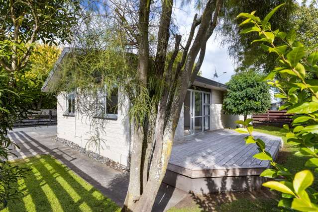 21b Murphys Road Springlands_1