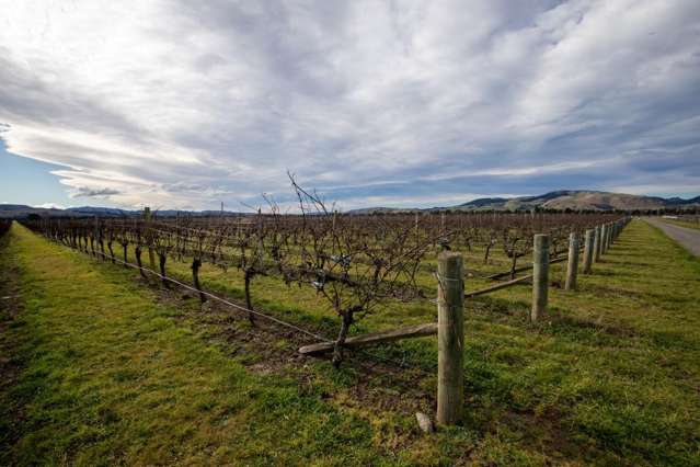100 Georges Road Waipara_3