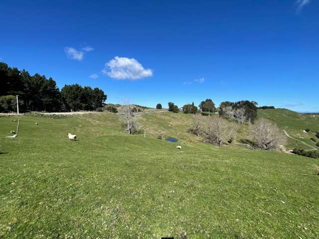 1845 Kanakanaia Road Whatatutu_4