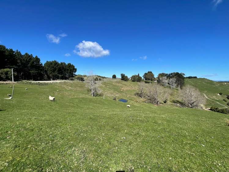 1845 Kanakanaia Road Whatatutu_4