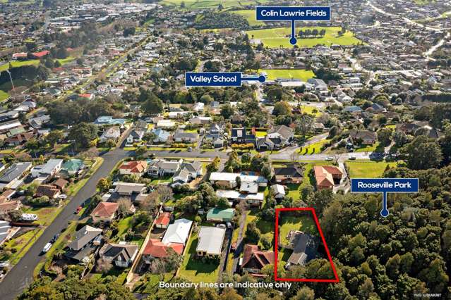 14 Roose Avenue Pukekohe_1