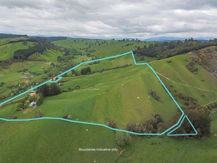 216 Win Valley Road Dovedale_18