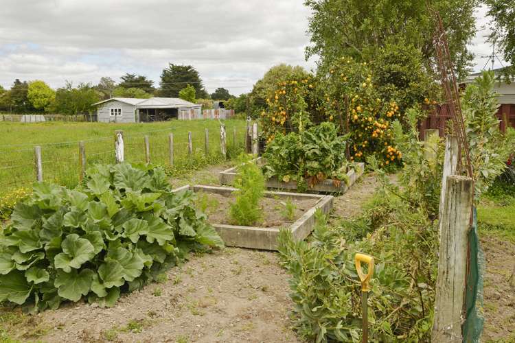 11 Fairbrother Street Carterton_16