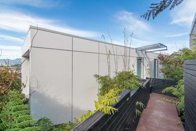 27a Mana Street Vogeltown_2