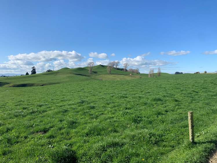 254 State Highway 1 Hauraki Surrounds_17