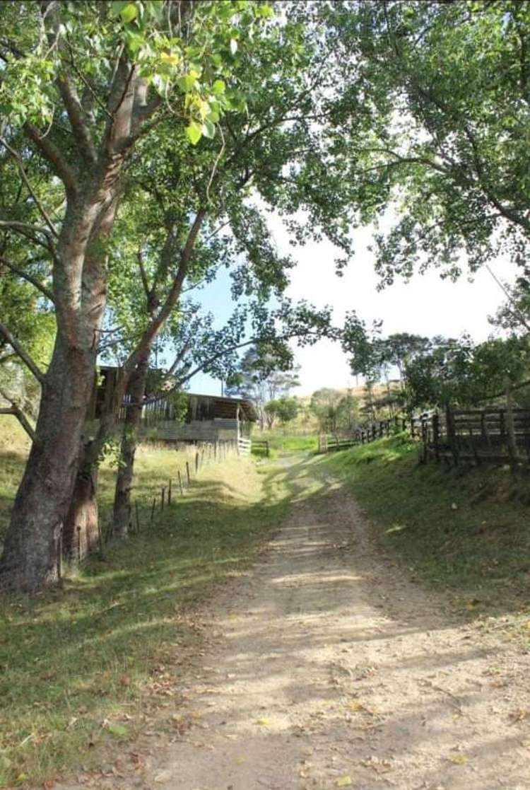 944 Waiti Road Tahuna_13