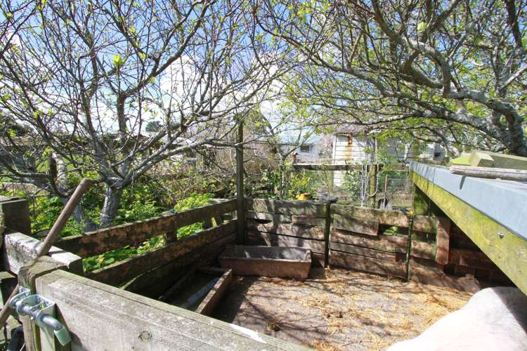 53 Inland North Road Tikorangi_22