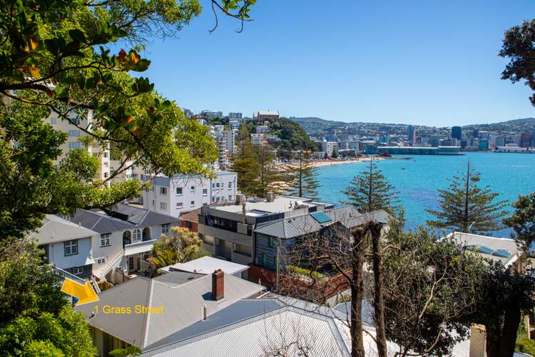 1 Grass Street Oriental Bay_20