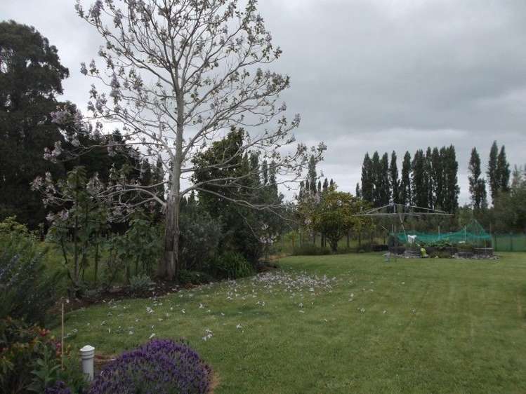 22 Lyall Street Tikokino_16