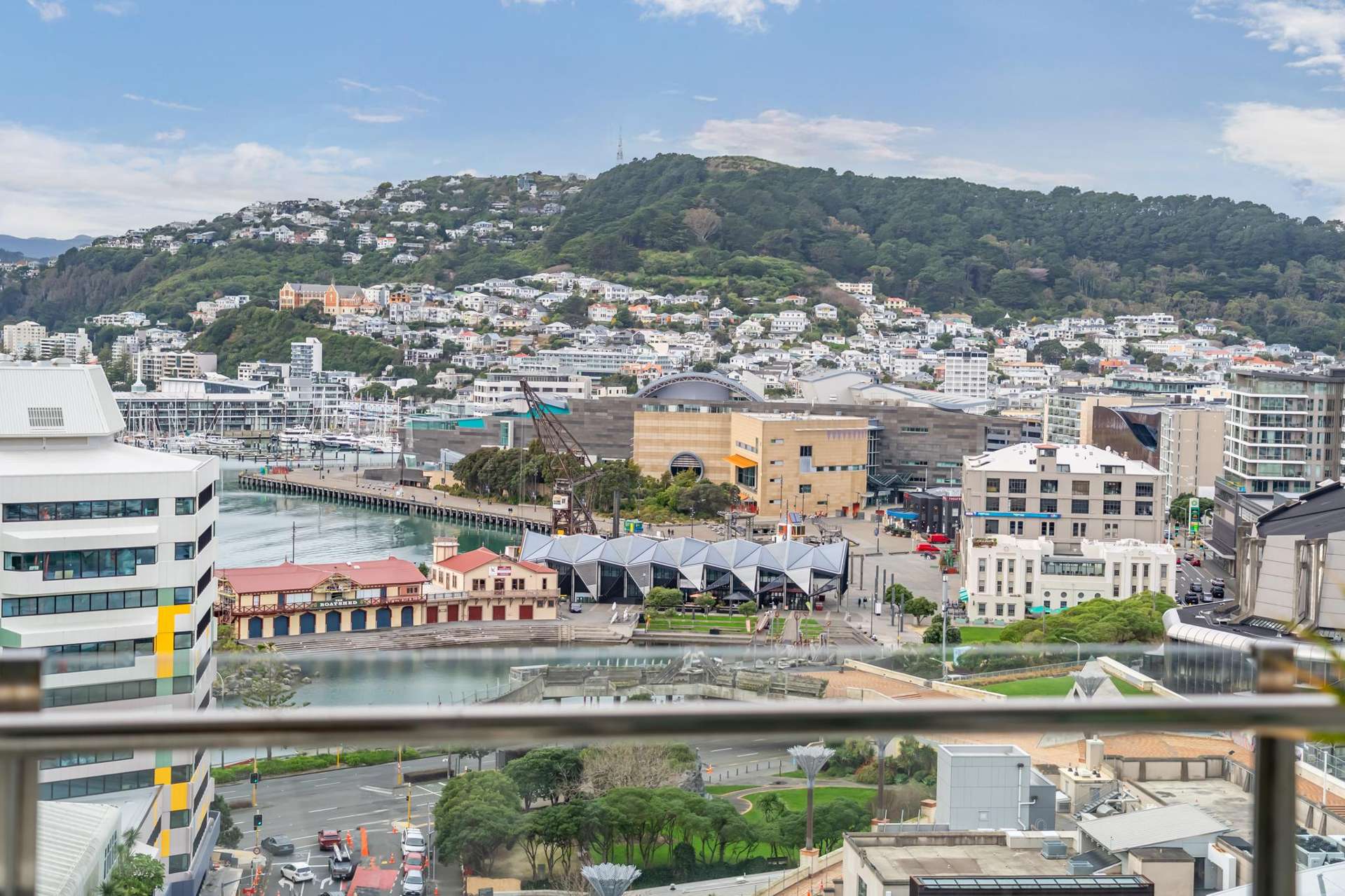 14g/9 Chews Lane Wellington Central_0