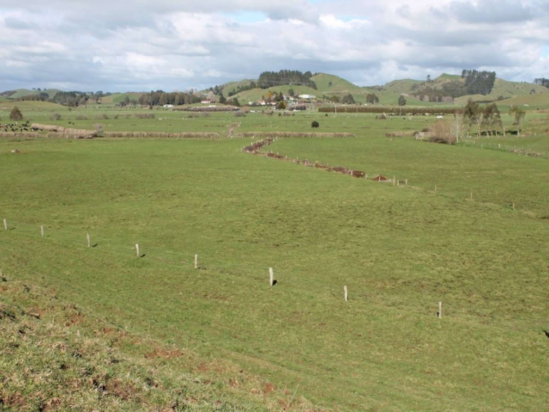 664 Tariki Road Inglewood_0