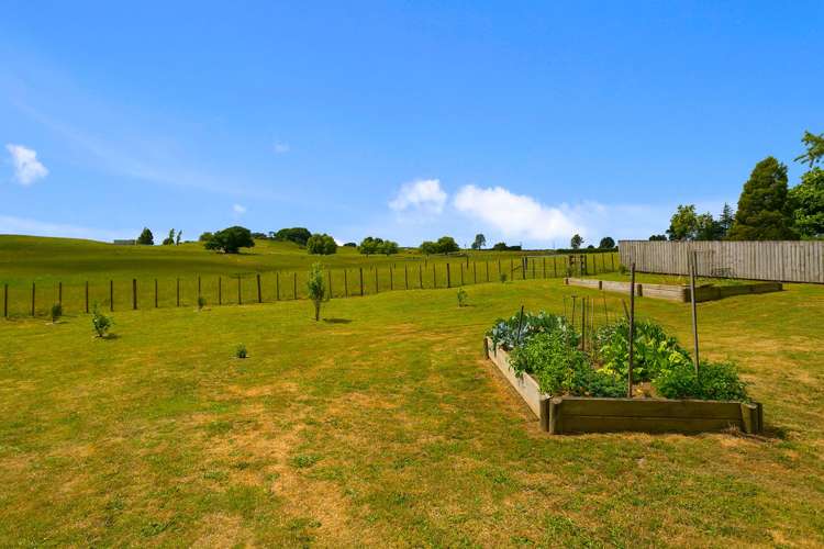 24 Goodwin Avenue Morrinsville_14