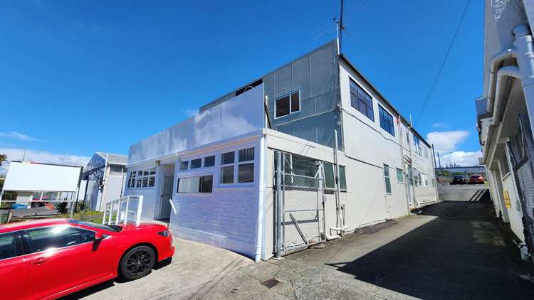 161-167 Apirana Avenue St Johns_1