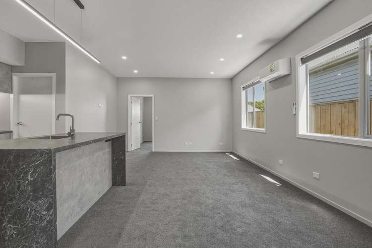 43 Bradshaw Street South Dunedin_25