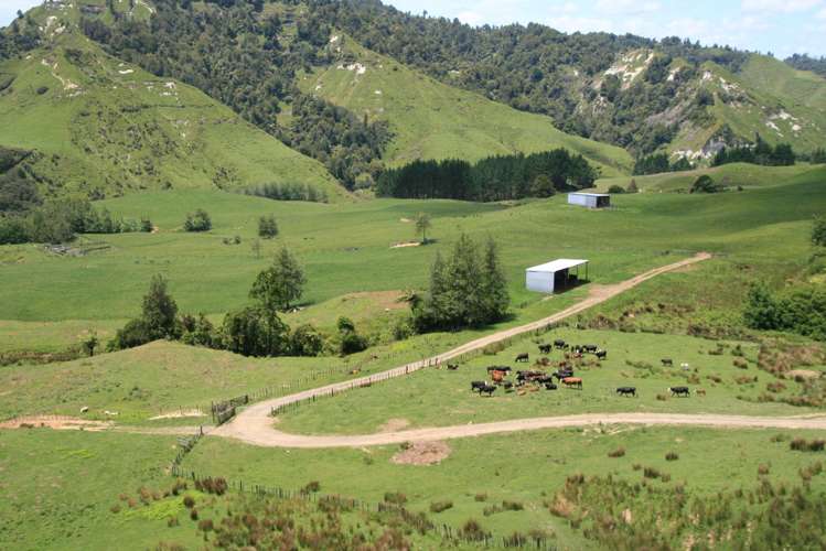 1099 Mataro Road Urenui_23