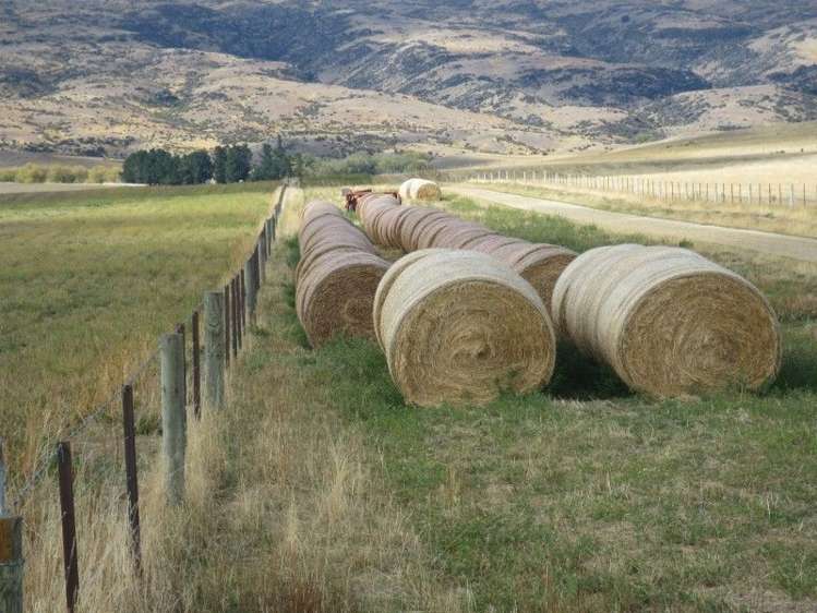 232 Ida Valley Back Road Oturehua_14