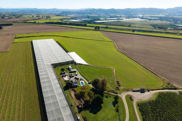 Lot 4 Judd Road Patutahi_3