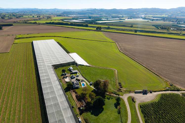 Lot 4 Judd Road Patutahi_3