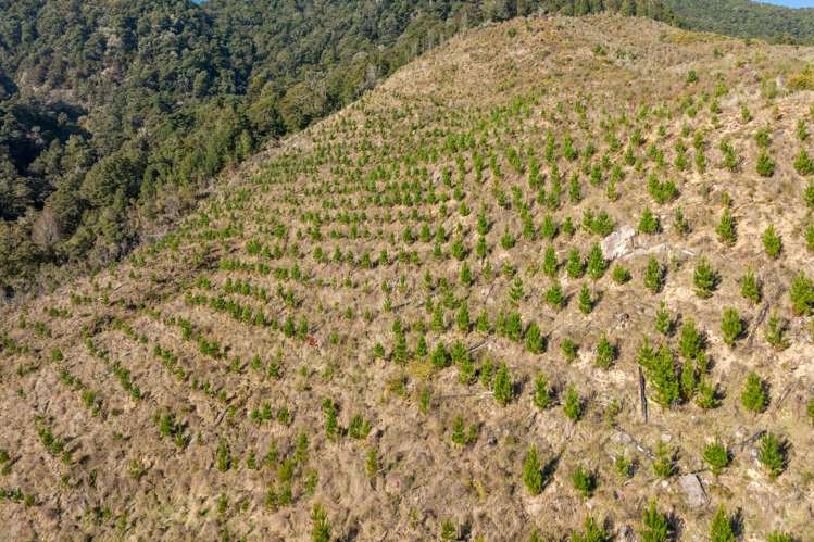 Matakitaki Road Murchison_12