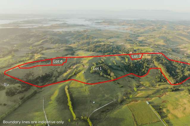 Lots 171 Te Arai Point Road Te Arai_4