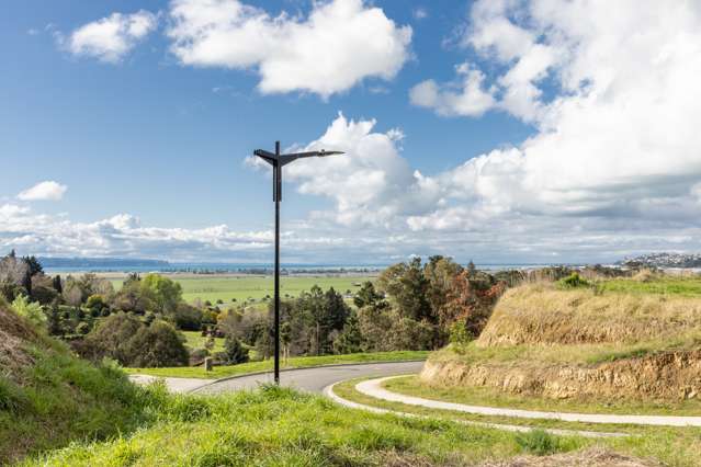 Lot 29, 96 Oak Road Taradale_2