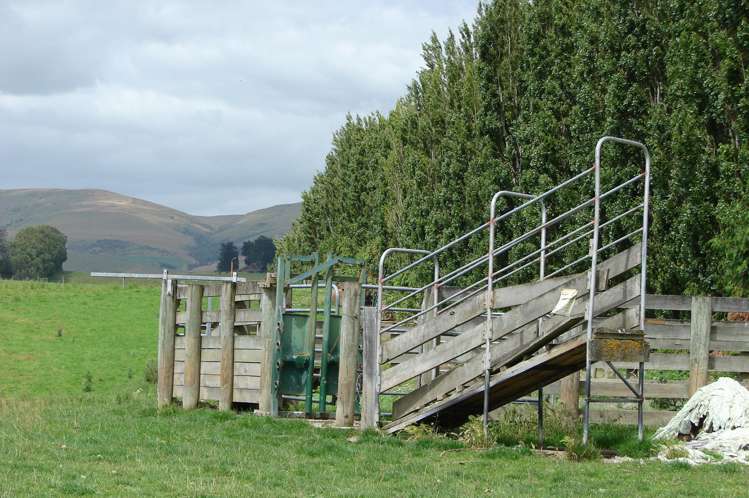 182 Beacon Hill Road Wairuna_16