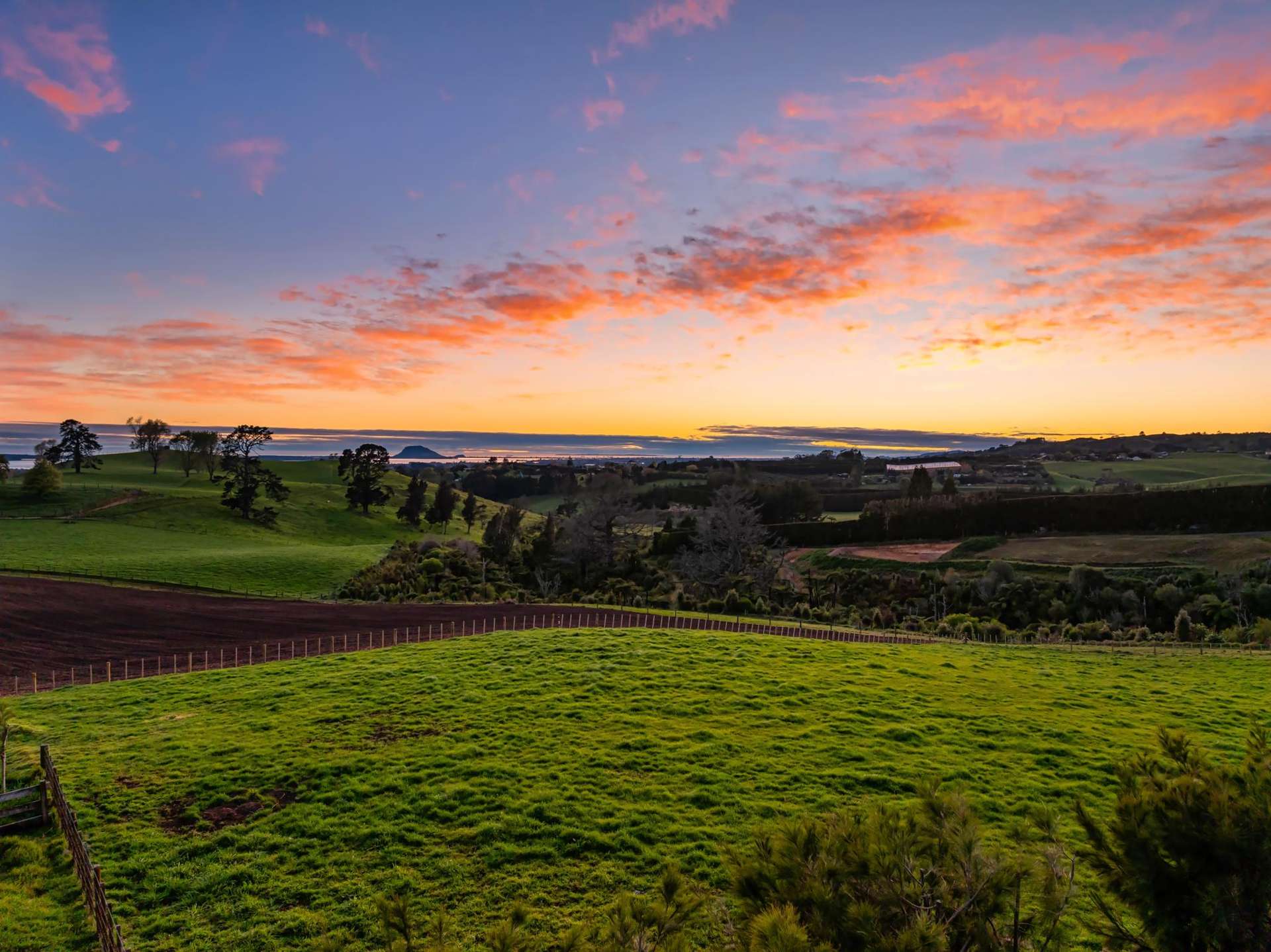 Lot Lot 1 Ross Road Whakamarama_0