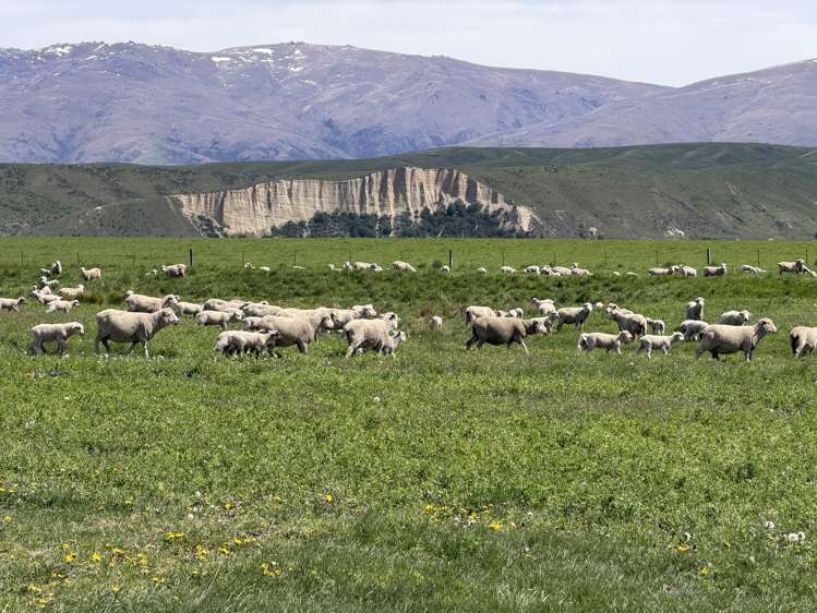 5582 Wedderburn-Becks Road Hills Creek_13