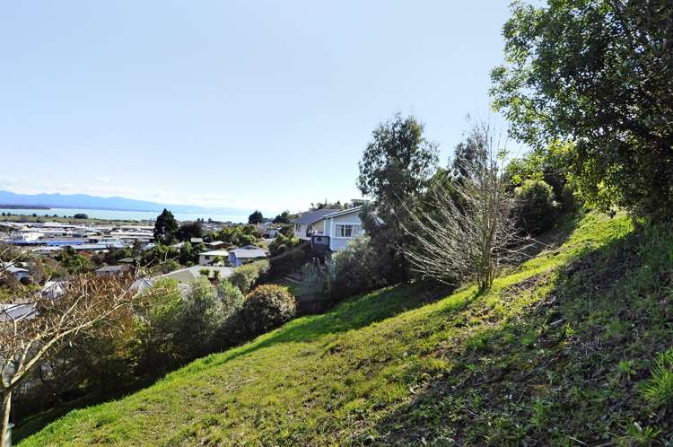 44a Maire Street Tahunanui_4