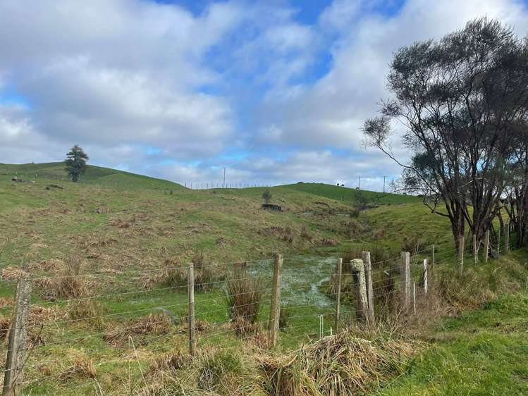 1107 Mairoa Road Piopio_16