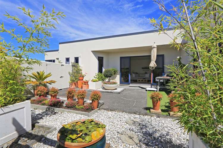 13 Palmbrook Avenue Havelock North_11