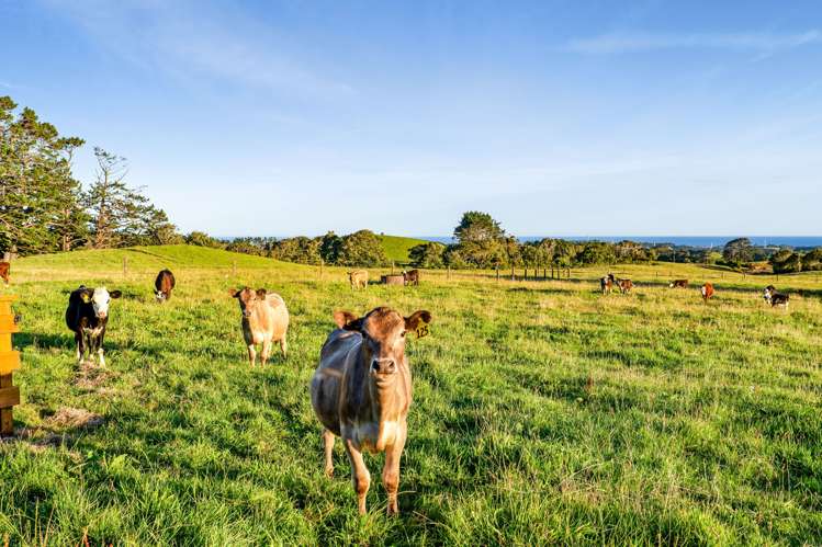 1202 Frankley Road Hurworth_20