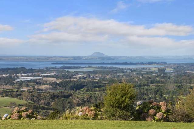 410F Busby Road Katikati_3