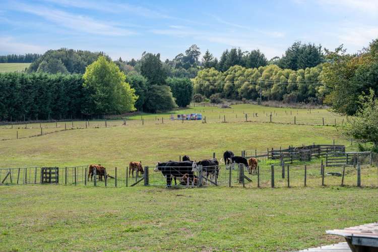 57 Cookson Road Tikitere_54