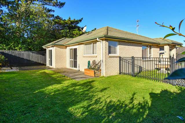 6 Richard Halse Drive Manurewa_1