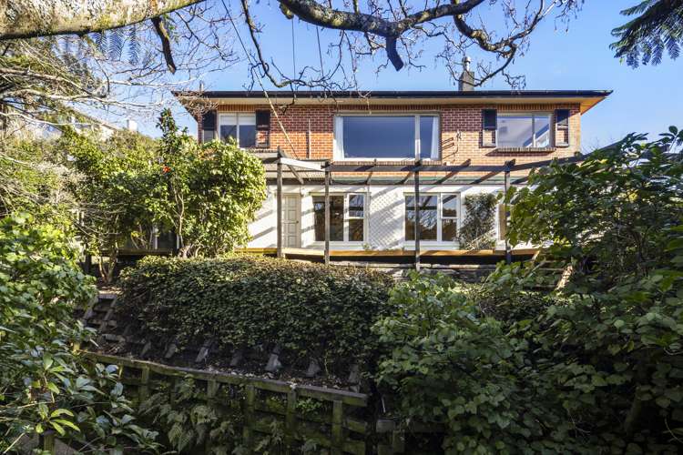 43a Rose Street Wadestown_11