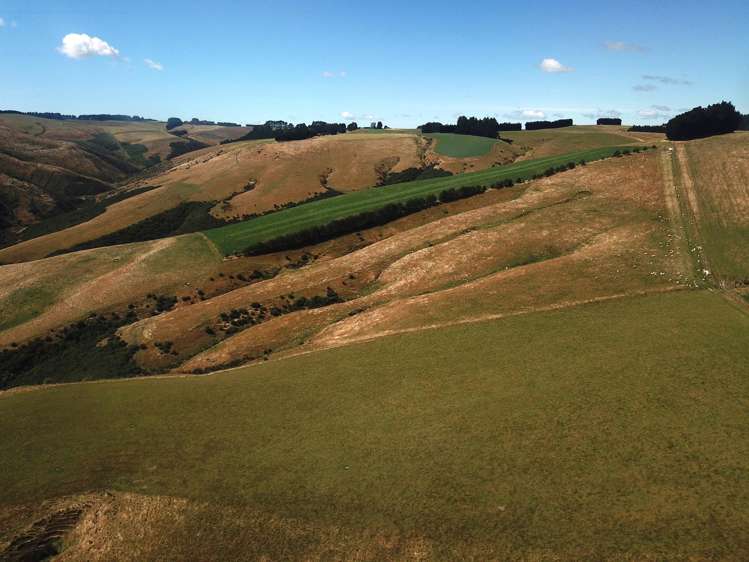 890 Mount Stuart Road Balclutha_20