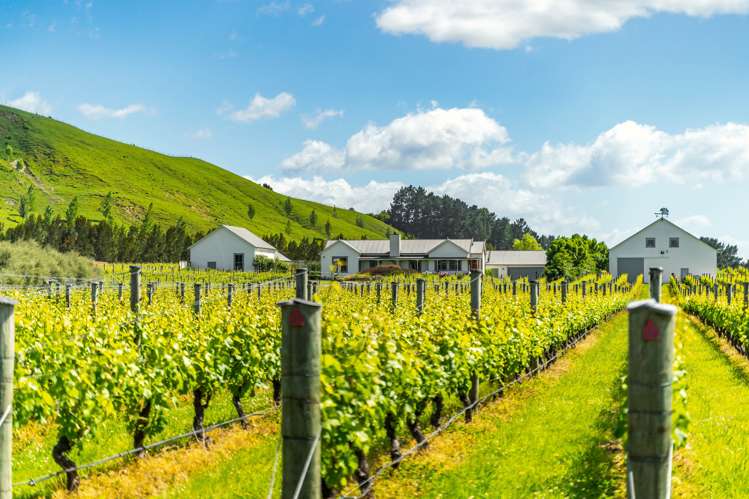 224 Te Muna Road Martinborough_22