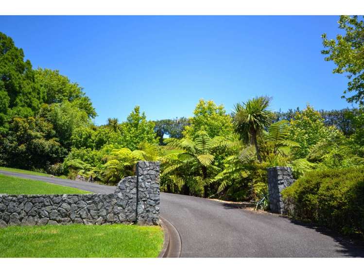Blue Gum Lane Kerikeri_5