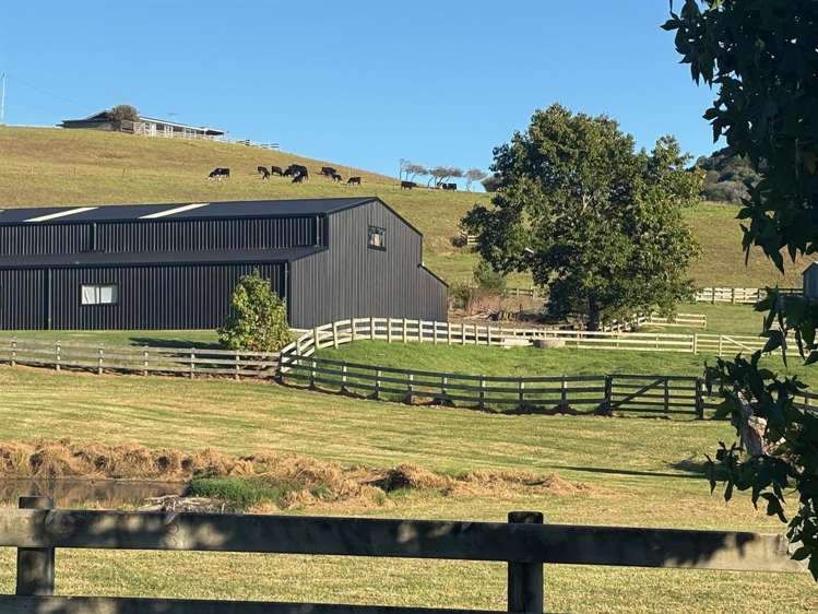 1166 Leigh Road Matakana_33