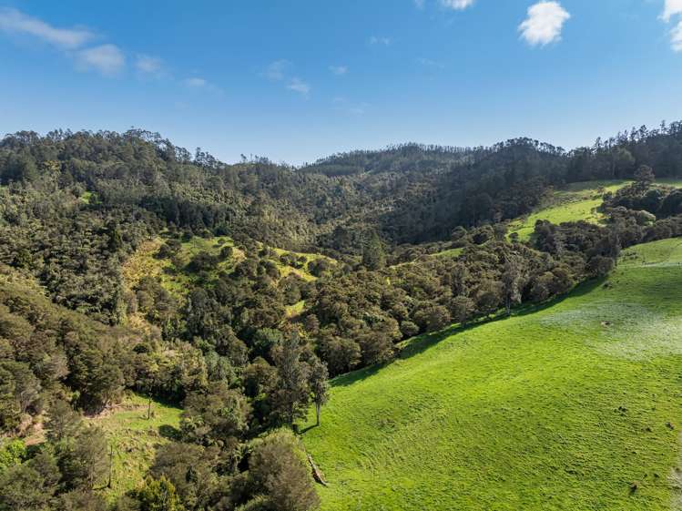 35 Canon Road Katikati_23