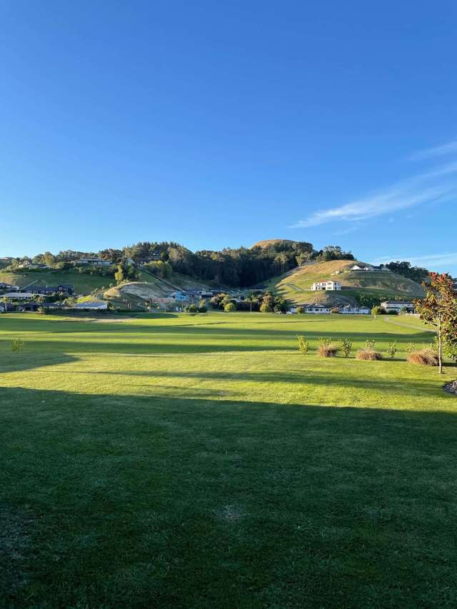 105 Puketapu Road Taradale_2