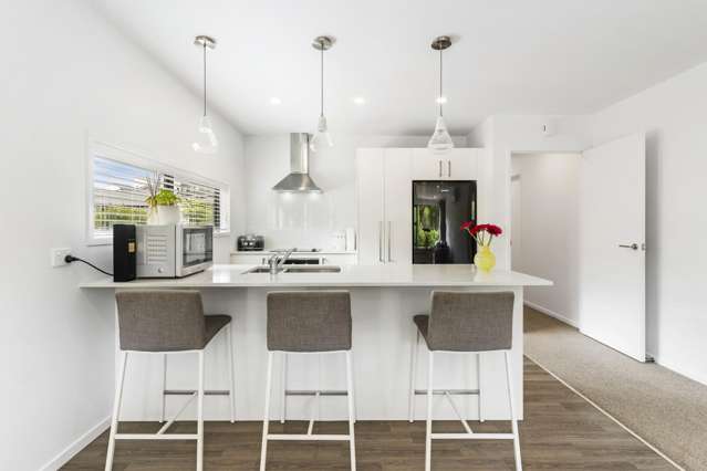 2 Paddock Lane Pukekohe_4