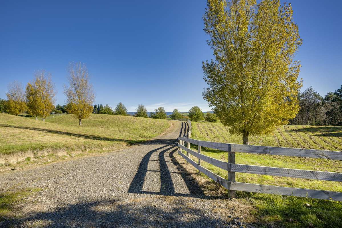 1401 Kereru Road_1