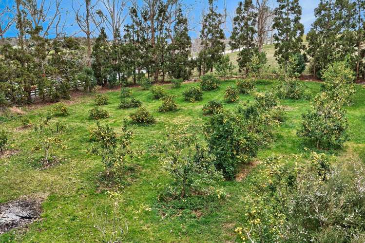 Lot 1/69a Vineyard Lane Mangawhai_16