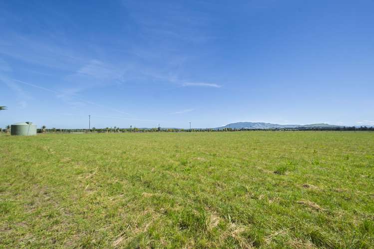 136 Purchas Road Amberley_8