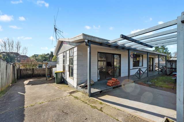 295 Ohaupo Road Glenview_1